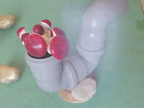IMG-5c853d209723f0870e53021f3df24d55-V_thumb.jpg