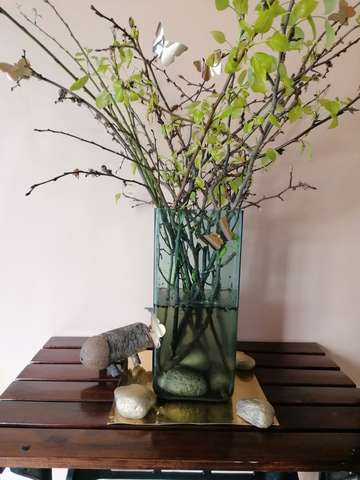 IMG-6ddd70ceb4631161f51ffe94b38859c7-V_thumb.jpg